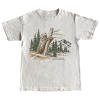BEAR COUNTRY
