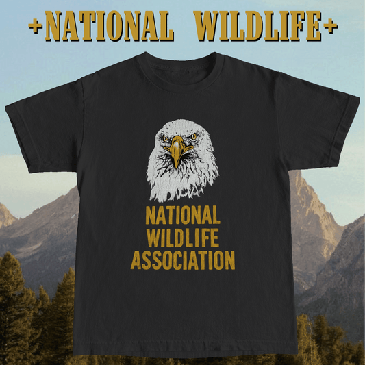 + NATIONAL WILDLIFE +