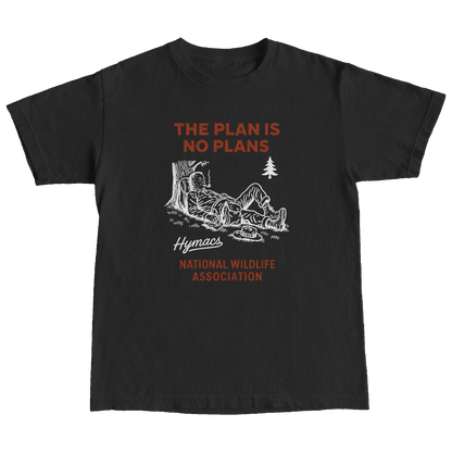 NO PLANS
